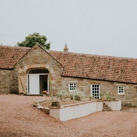 Orchard Cottage سانت أندروز المظهر الخارجي الصورة